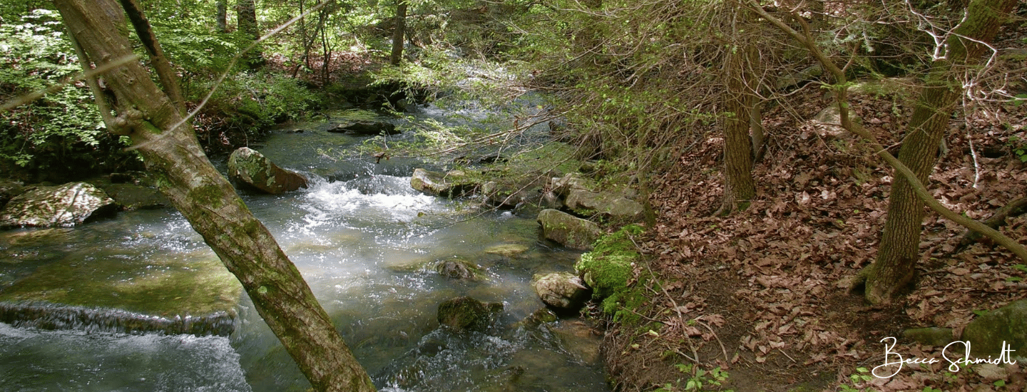 Mabbitt Springs B Schmidt 2
